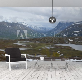 Picture of Subarctic tundra in Norwegian mountains northern Scanned